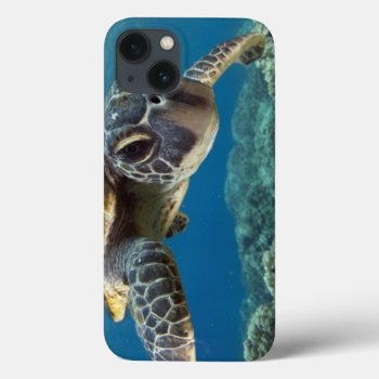 Hawaiian Green Sea Turtle Iphone 13 Case by wildlifecollection at Zazzle