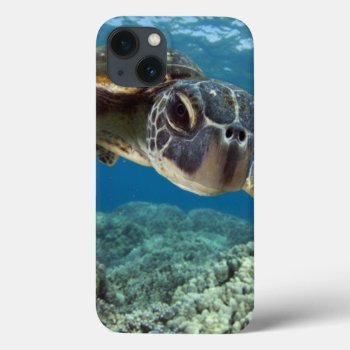 Hawaiian Green Sea Turtle Iphone 13 Case by wildlifecollection at Zazzle