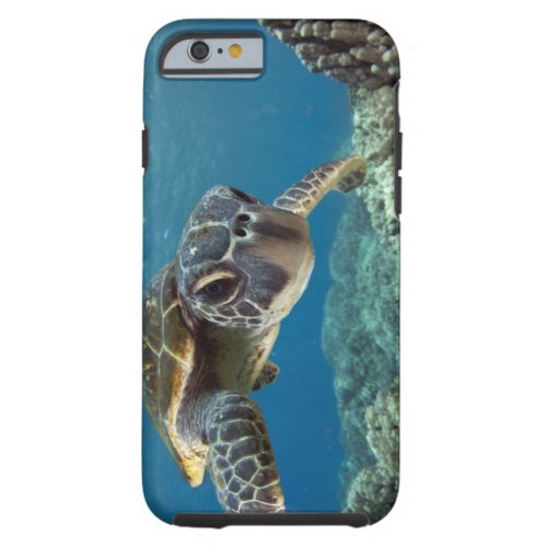 Hawaiian Green Sea Turtle Tough iPhone 6 Case
