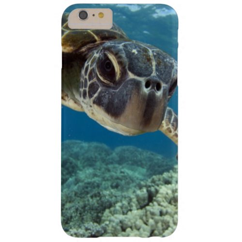 Hawaiian Green Sea Turtle Barely There iPhone 6 Plus Case