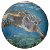 Hawaiian Green Sea Turtle Chocolate Covered Oreo (Front)
