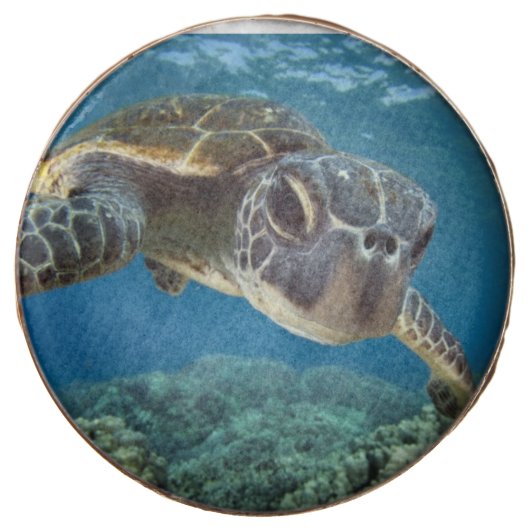 Hawaiian Green Sea Turtle Chocolate Covered Oreo (Front)