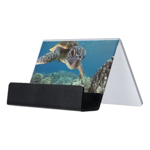 Hawaiian Green Sea Turtle Desk Business Card Holder
