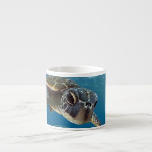 Hawaiian Green Sea Turtle Espresso Cup