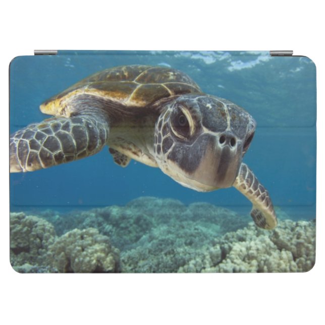Hawaiian Green Sea Turtle iPad Air Cover (Horizontal)