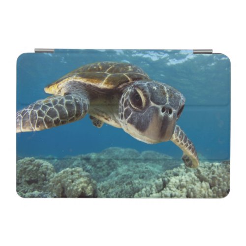 Hawaiian Green Sea Turtle iPad Mini Cover