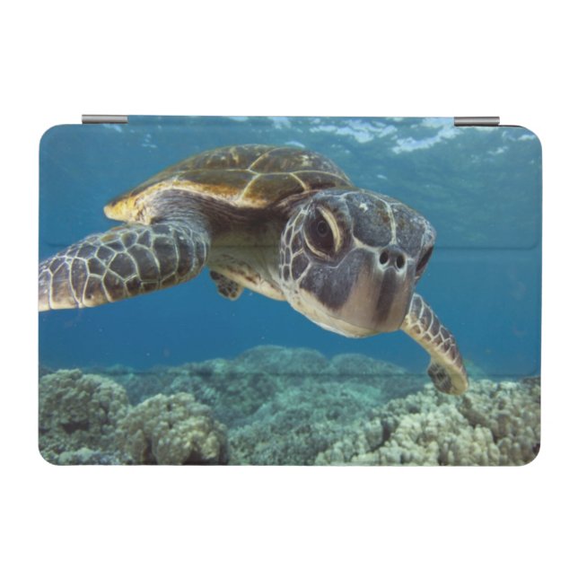 Hawaiian Green Sea Turtle iPad Mini Cover (Horizontal)
