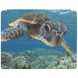Hawaiian Green Sea Turtle iPad Smart Cover