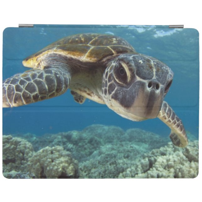 Hawaiian Green Sea Turtle iPad Smart Cover (Horizontal)