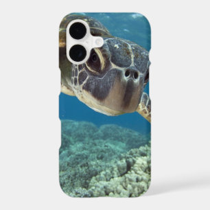 Hawaiian Green Sea Turtle iPhone 17 Case