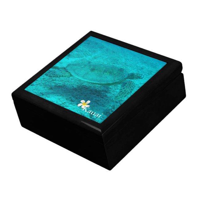 Hawaiian Green Sea Turtle Jewelry Box (Side)