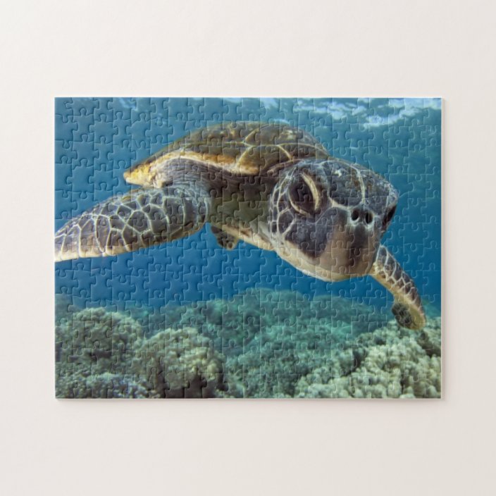 Hawaiian Green Sea Turtle Jigsaw Puzzle | Zazzle