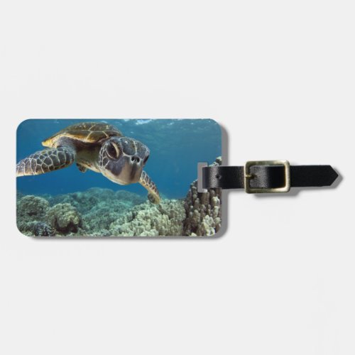Hawaiian Green Sea Turtle Luggage Tag