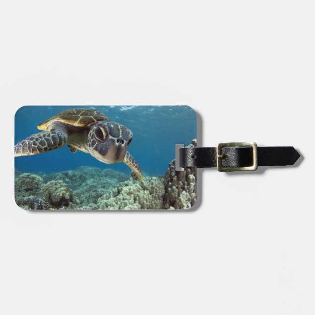 Hawaiian Green Sea Turtle Luggage Tag (Front Horizontal)