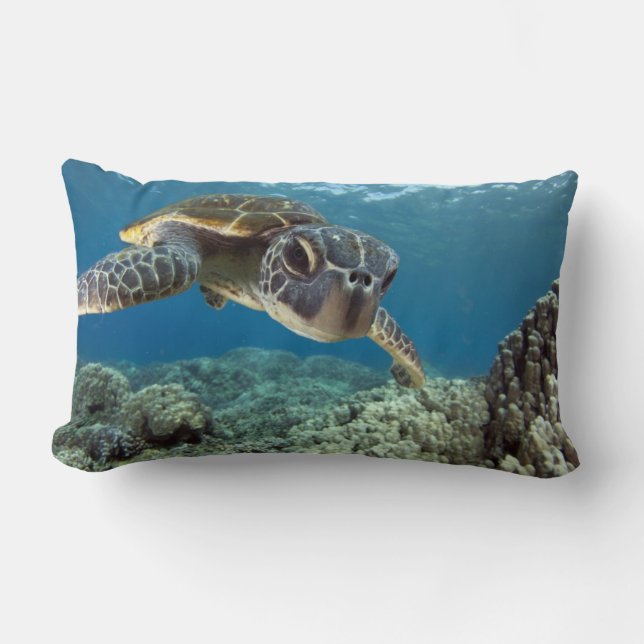 Hawaiian Green Sea Turtle Lumbar Pillow (Front)