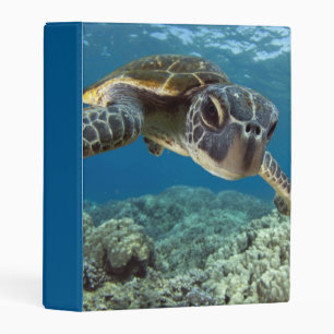 Hawaiian Green Sea Turtle Mini Binder