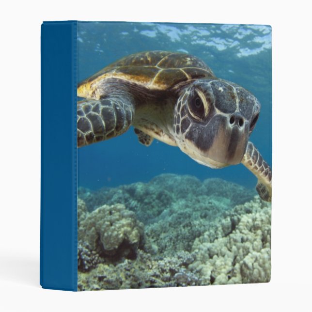 Hawaiian Green Sea Turtle Mini Binder (Front/Spine)