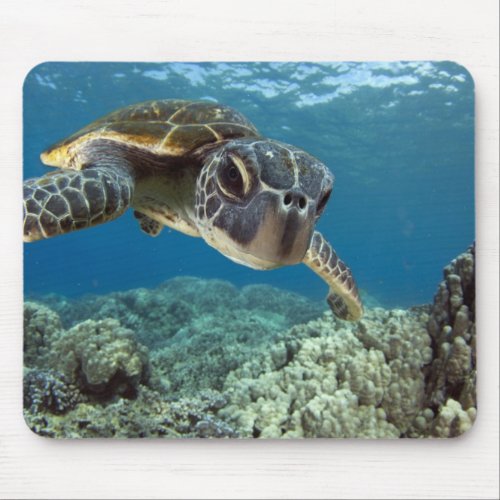 Hawaiian Green Sea Turtle Mouse Pad