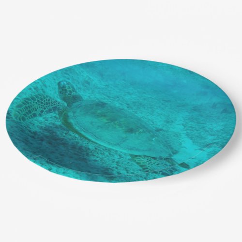 Hawaiian Green Sea Turtle Paper Plates