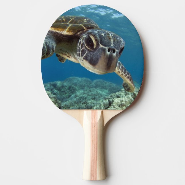 Hawaiian Green Sea Turtle Ping-Pong Paddle (Front)
