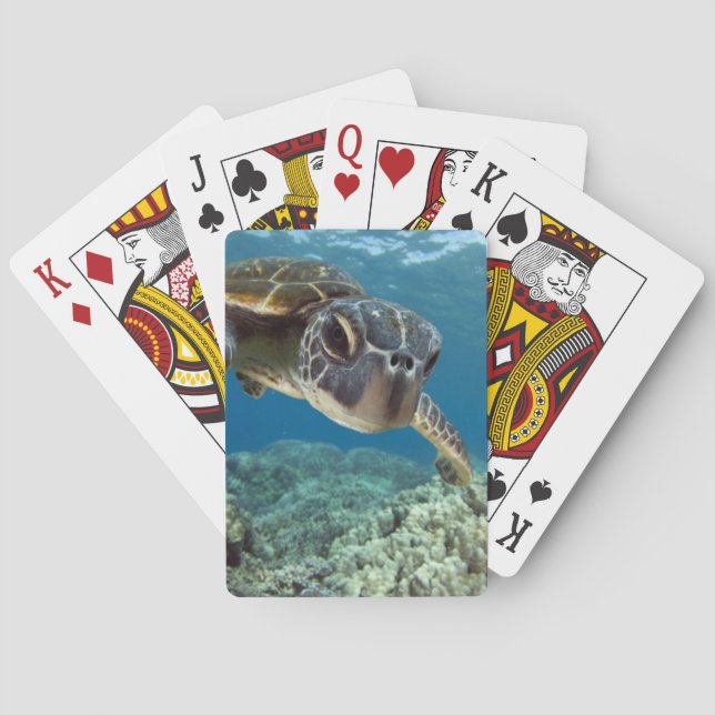 Hawaiian Green Sea Turtle Poker Cards (Back)