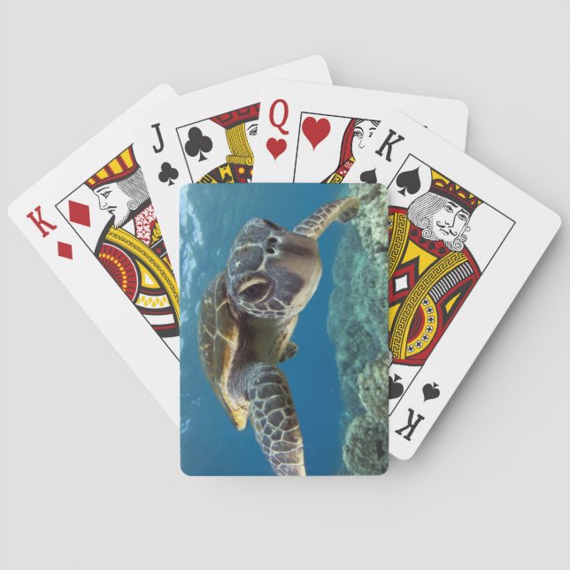 Hawaiian Green Sea Turtle Poker Cards (Back)