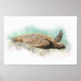 Hawaiian Green Sea Turtle  - Sea Turtle Watercolor Poster