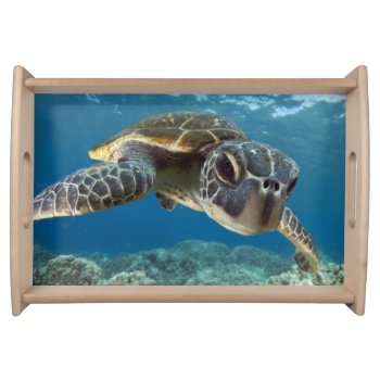 Hawaiian Green Sea Turtle Serving Tray by wildlifecollection at Zazzle