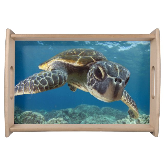 Hawaiian Green Sea Turtle Serving Tray (Front)