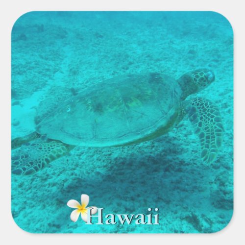 Hawaiian Green Sea Turtle Square Sticker