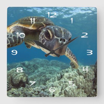 Hawaiian Green Sea Turtle Square Wall Clock by wildlifecollection at Zazzle
