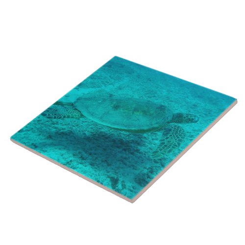 Hawaiian Green Sea Turtle Tile
