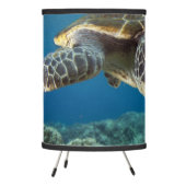 Hawaiian Green Sea Turtle Tripod Lamp (Left)