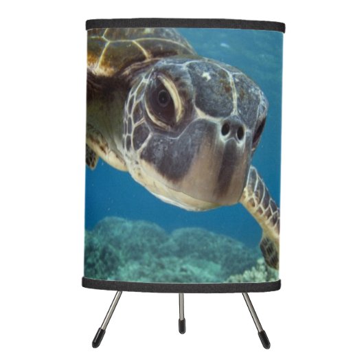 Hawaiian Green Sea Turtle Tripod Lamp (Front)
