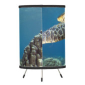 Hawaiian Green Sea Turtle Tripod Lamp (Back)