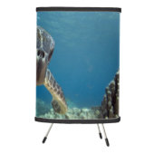 Hawaiian Green Sea Turtle Tripod Lamp (Right)