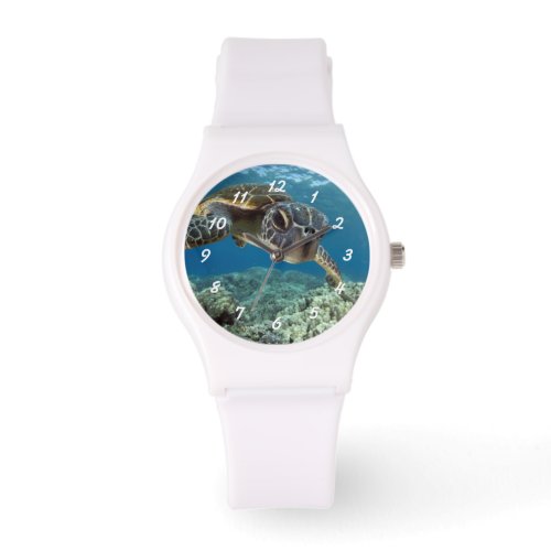 Hawaiian Green Sea Turtle Watch