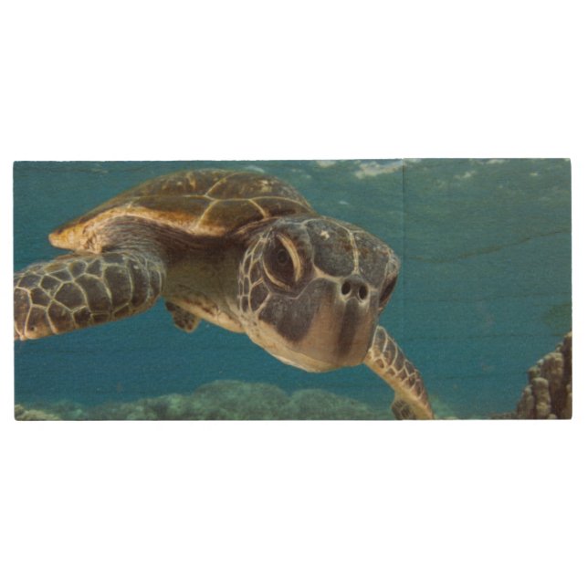 Hawaiian Green Sea Turtle Wood USB Flash Drive (Front)