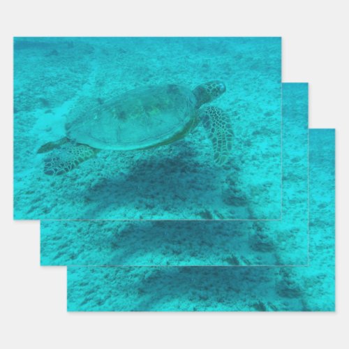 Hawaiian Green Sea Turtle Wrapping Paper Sheets
