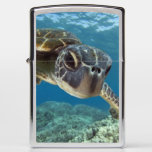 Hawaiian Green Sea Turtle Zippo Lighter at Zazzle