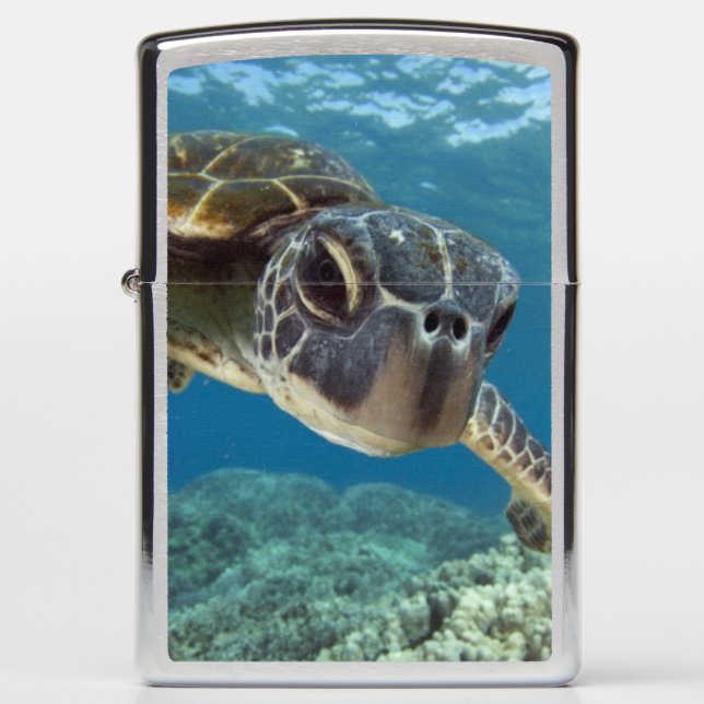 Hawaiian Green Sea Turtle Zippo Lighter (Front)