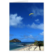 Hawaiian Hang glider (Front)