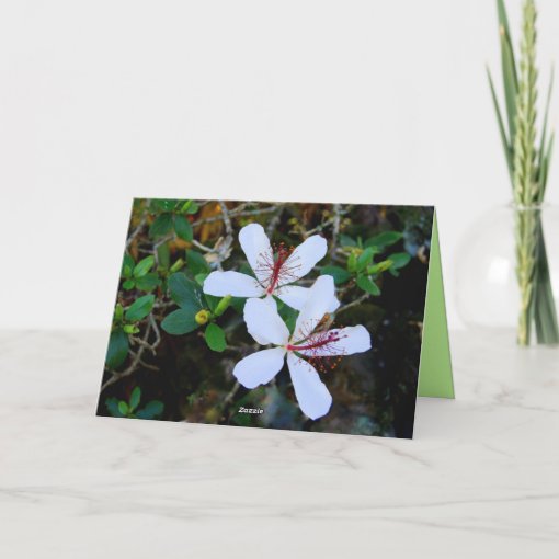 Hawaiian Happy Anniversary White Hibiscus Card | Zazzle