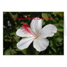 Anniversary Card Tropical Hawaiian Waterfalls | Zazzle.com