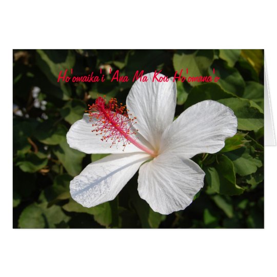 x template greeting 5.5 8.5 card Happy Hawaiian Zazzle Anniversary Hibiscus Card  White