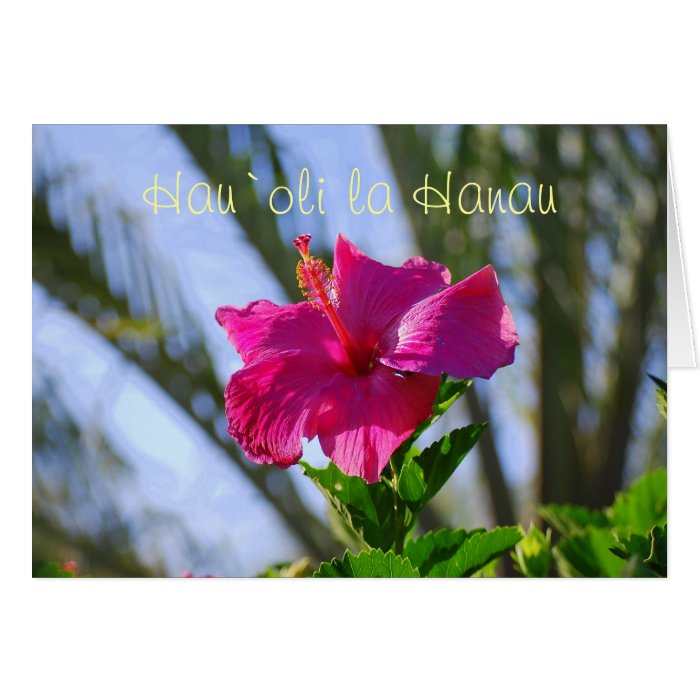 Hawaiian Happy Birthday Hot Pink Hibiscus Card