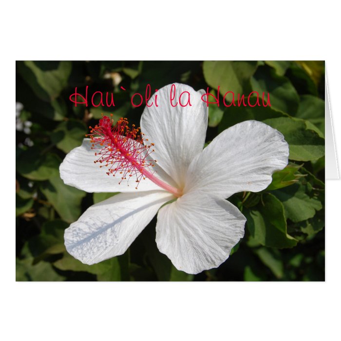 Hawaiian Happy Birthday White Hibiscus Card