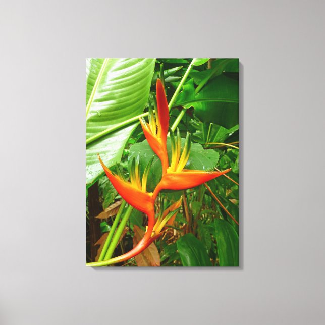 Hawaiian Heliconia Canvas Print (Front)