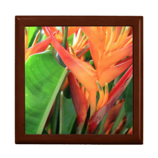 Hawaiian Heliconia Flowers Gift Box