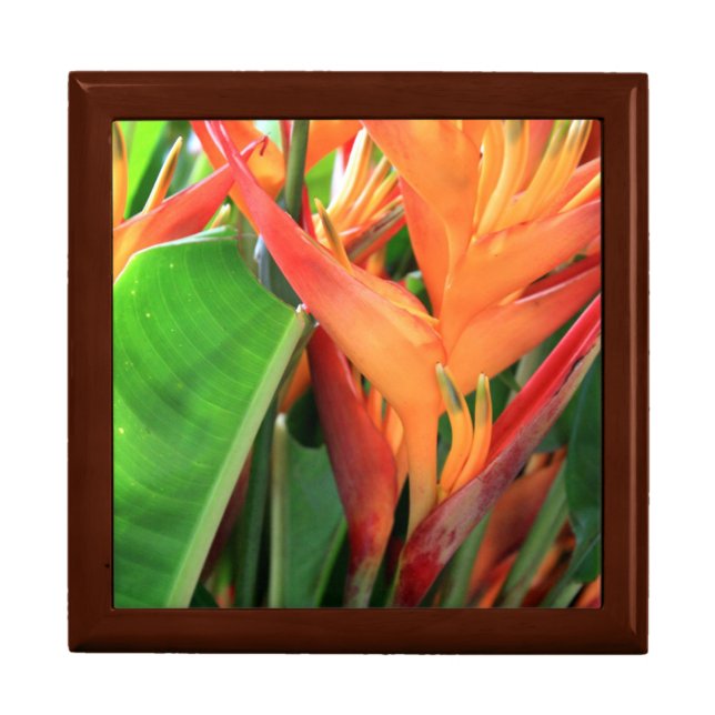 Hawaiian Heliconia Flowers Gift Box (Front)
